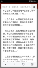 爱游戏APP网页版入口